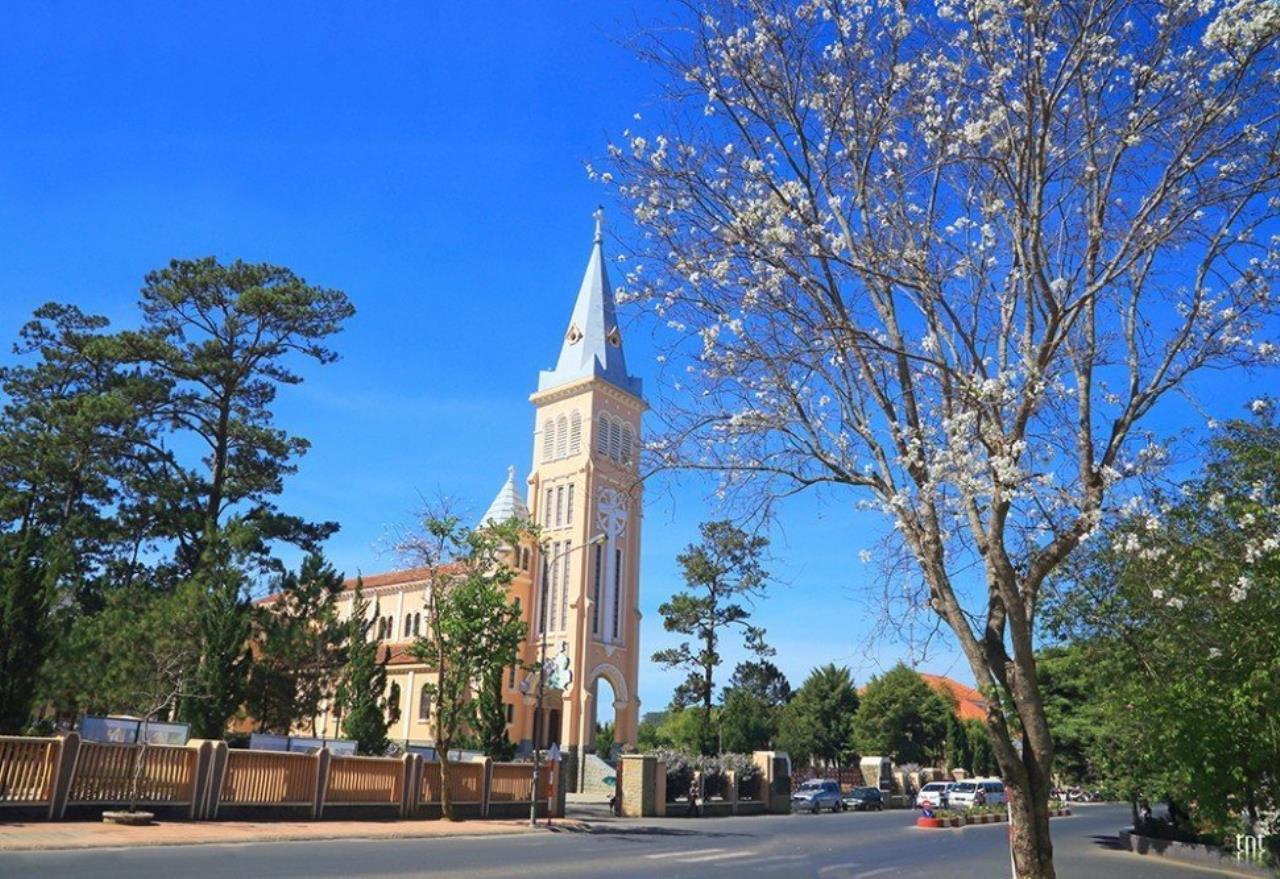 Thư viện ảnh